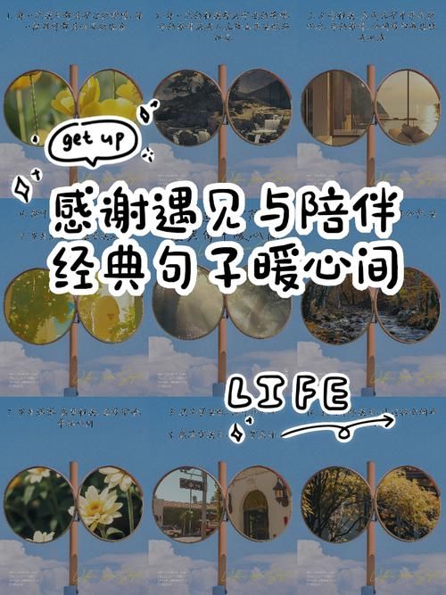 简单的陪伴，温暖的心：感谢这份平淡的幸福