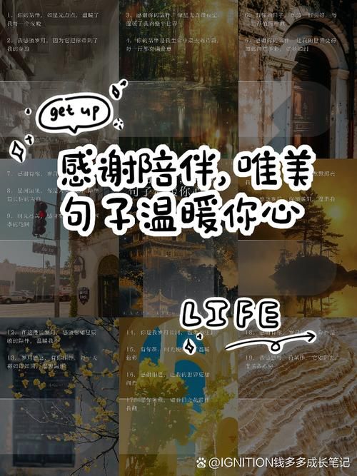 简单的陪伴，温暖的心：感谢这份平淡的幸福