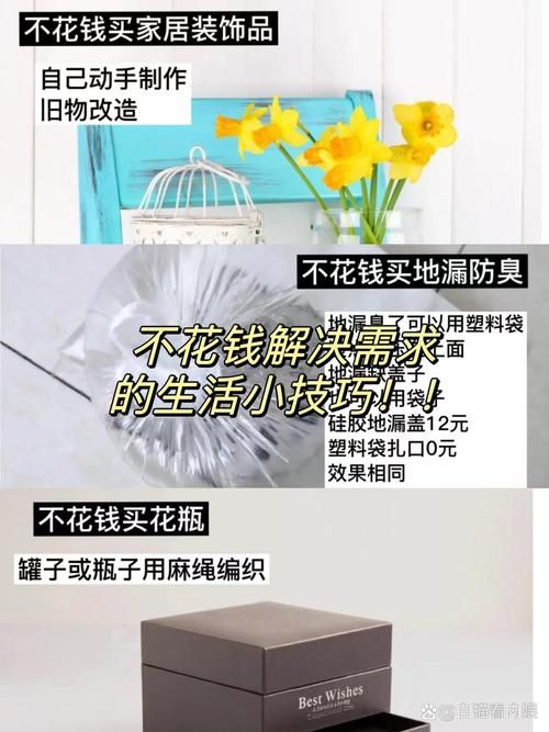 简易百宝箱的妙用：提升生活效率的小技巧