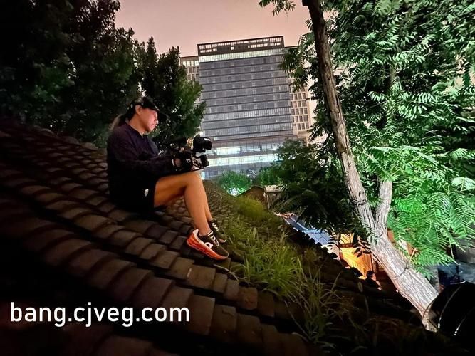 精子与美女的终极对决：一场关于生命与美的辩论