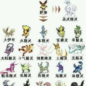精灵宝可梦伊布被r？聊聊宝可梦玩家的奇葩脑洞