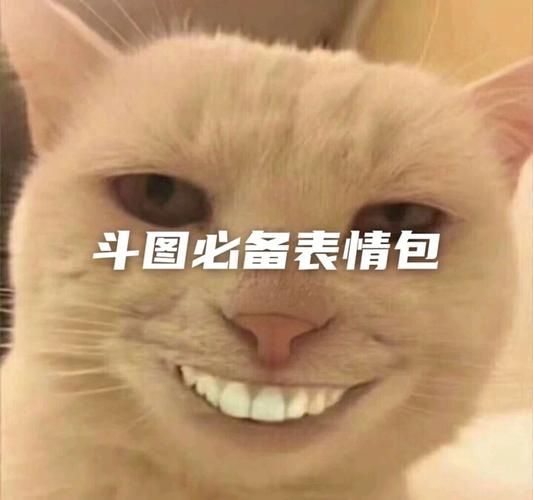 精选梦幻表情包：聊天斗图必备神器