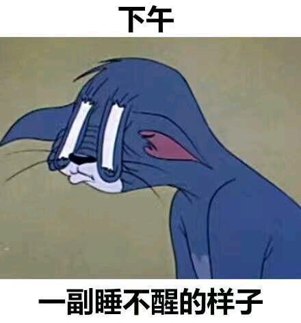 精选睡不醒的图片素材：高清大图，适合各种用途！