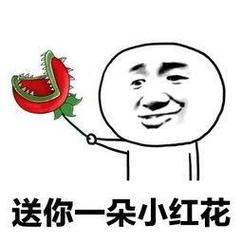 精选送你一朵小红花表情包，各种尺寸