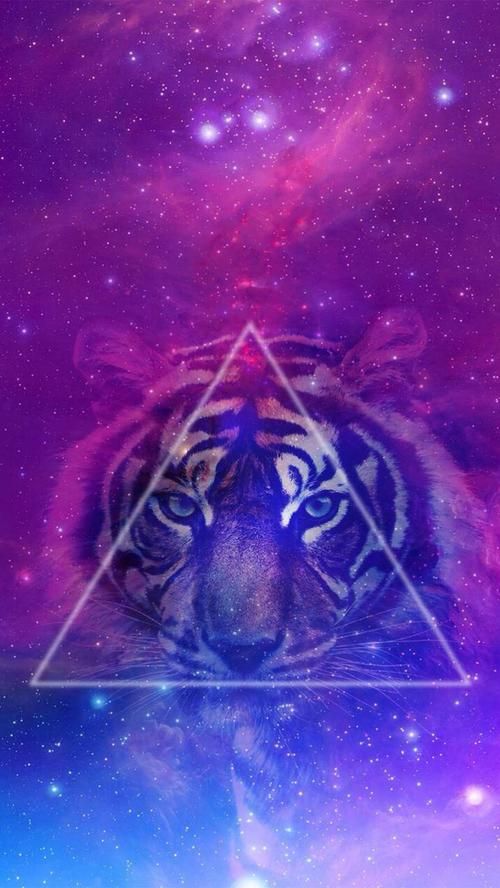 紫色老虎：你所不知道的动物世界奇观