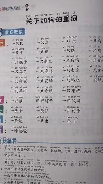 纠结的虫子量词：一只、一条、一个，哪个正确？