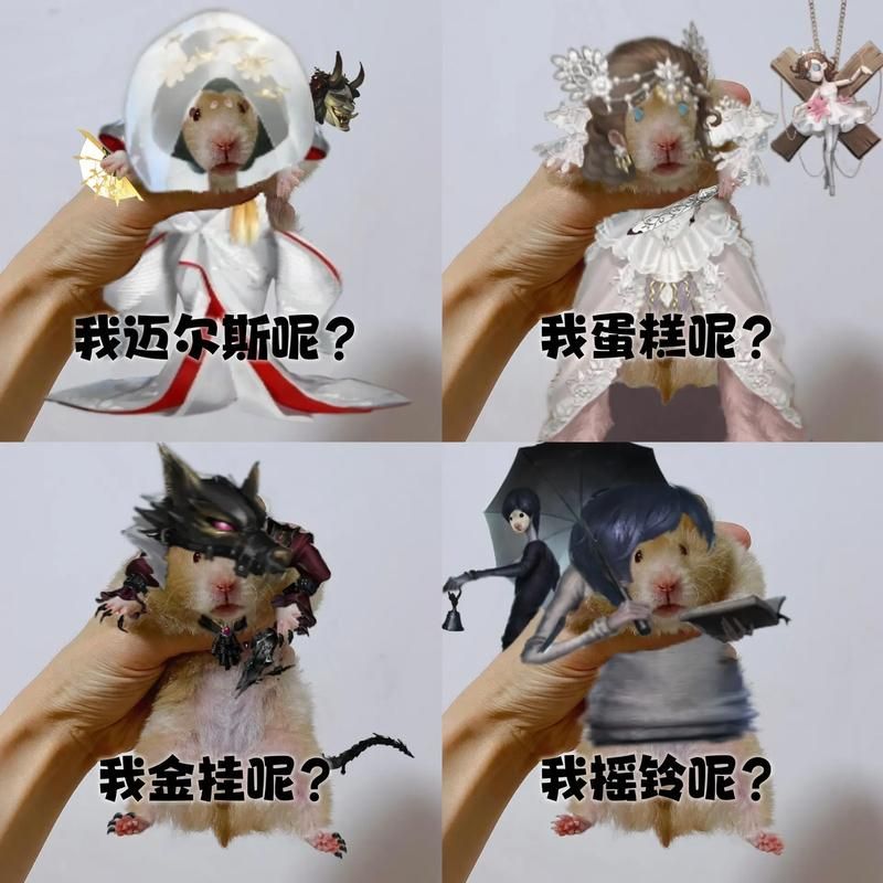 红蝶白无垢入手指南，教你如何获得这款绝美时装