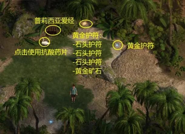 纳迪亚之宝金缕草刷新点详解：轻松获取金缕草方法