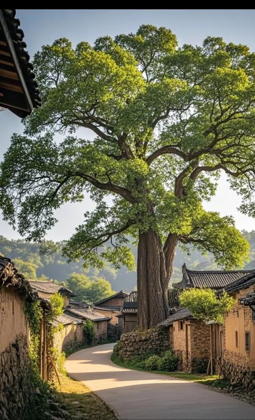 经营我的古代村庄：感受别样的古代乡村人生