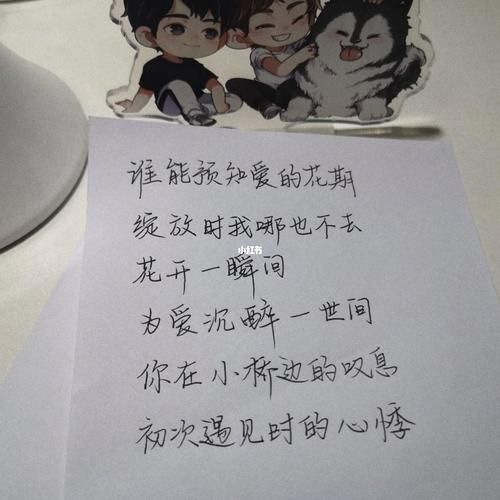 给我几秒钟这首歌的歌词是什么意思？一瞬间让人泪目！