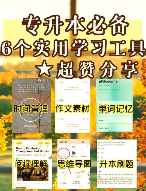 绚星云学堂app功能详解：高效学习管理工具