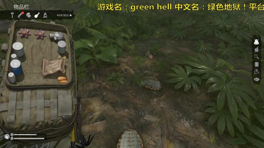 绿色地狱地图秘籍：高效寻宝，快速通关