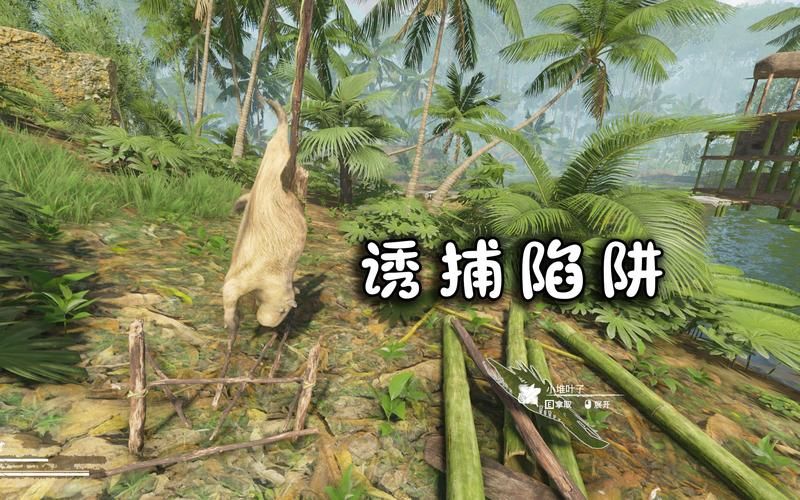 绿色地狱地图秘籍：高效寻宝，快速通关