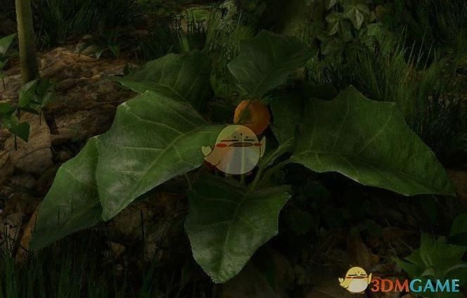 绿色地狱更新：最后一次更新内容抢先看！新增动物和装饰！