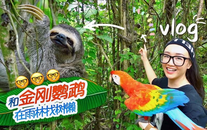 绿色地狱游戏下载安装教程，带你快速进入亚马逊雨林！