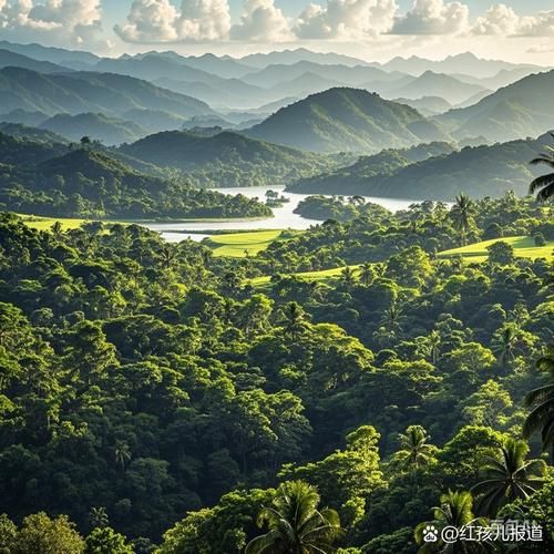 绿色地狱游戏下载安装教程，带你快速进入亚马逊雨林！