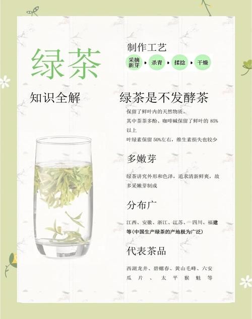 绿茶的功效与坏处是什么？适合哪些人喝？