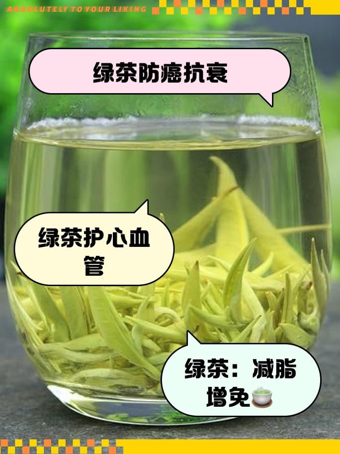 绿茶的功效与坏处是什么？适合哪些人喝？