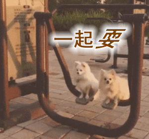 网上很火的动态表情包搞笑：让你聊天更有趣！
