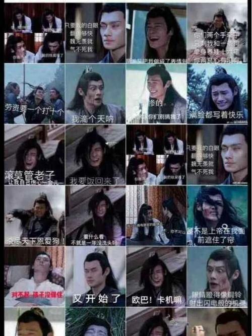 网友热传：燕子你不要走表情包，你值得拥有