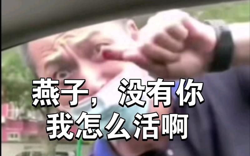 网友热传：燕子你不要走表情包，你值得拥有
