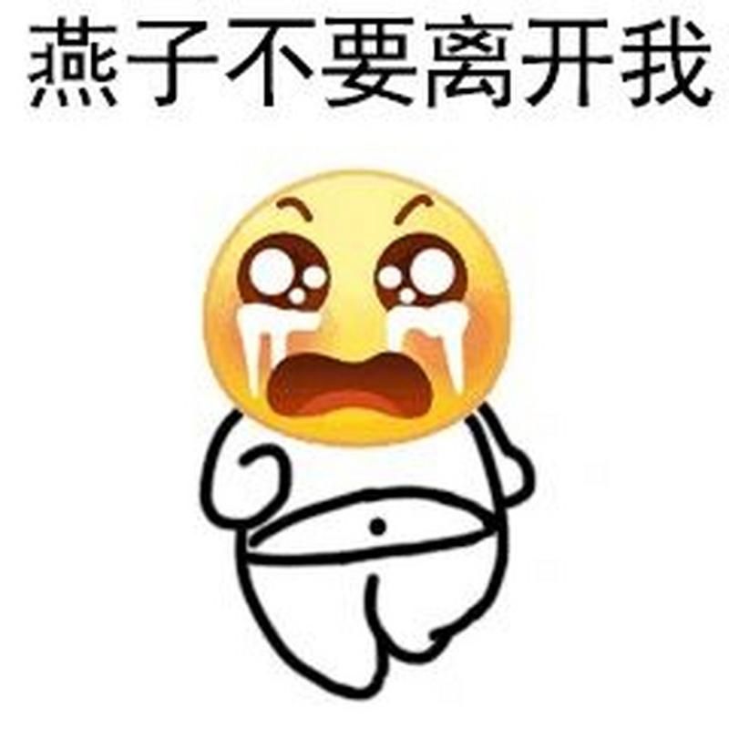 网友热传：燕子你不要走表情包，你值得拥有