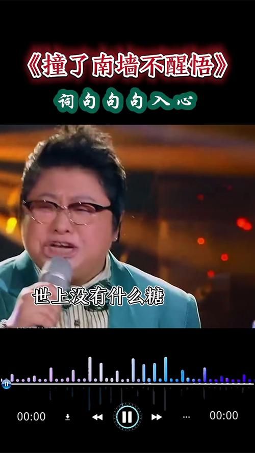 网易云热歌“可能我撞了南墙才会回头吧”出自哪位歌手？