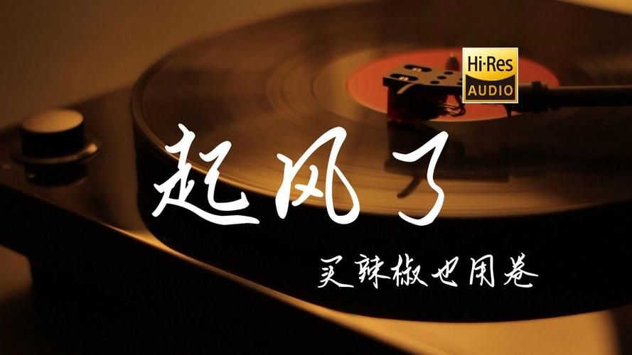 网易云神曲起风了：买辣椒也用券的走心演唱