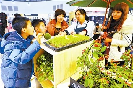 网易农场手游上线啦！种菜养猪，收获满满！