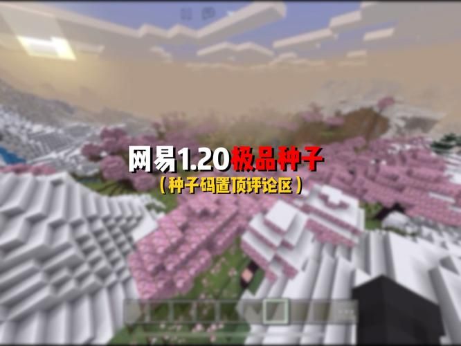 网易我的世界神级种子：超多资源等你来探索！