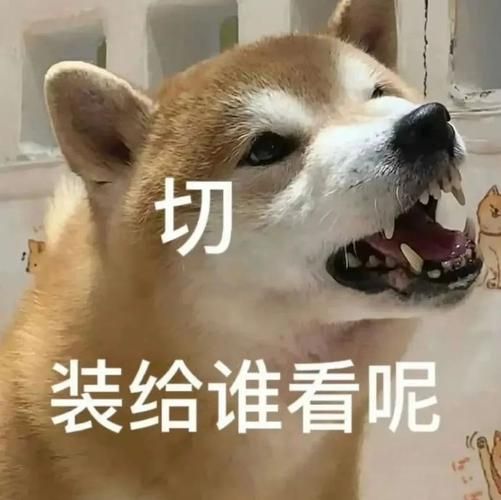 网络最火表情包大全：超全斗图神器，让你聊天更精彩！