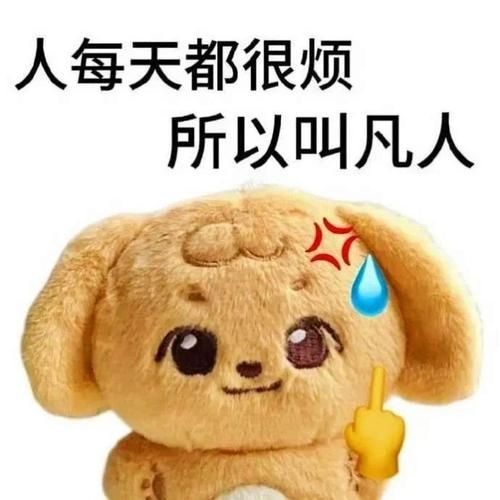 网络最火表情包大全：超全斗图神器，让你聊天更精彩！