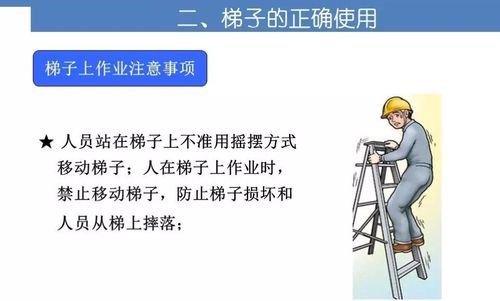 网络梯子安全吗？深度解析网络梯子的优缺点