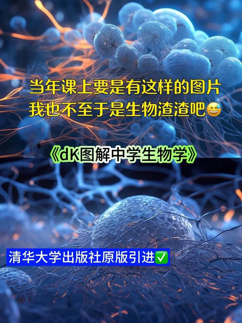 网络流行语DK啥意思？DK含义及相关知识科普