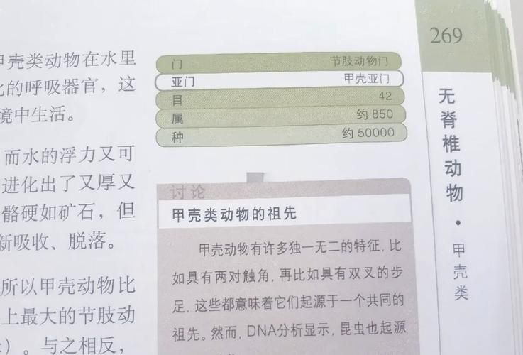 网络流行语DK啥意思？DK含义及相关知识科普
