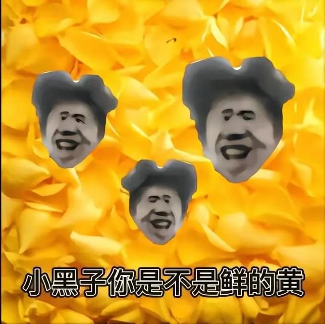 网络热梗“鸡太美”究竟是谁？背后故事大揭秘