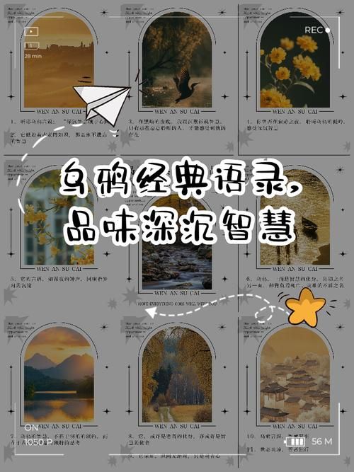 网络热词“乌鸦像写字台”，你真的理解它的含义吗？