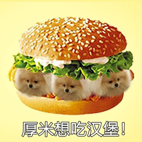 网络热词“厚米”是什么意思？带你了解“厚米”的起源和含义