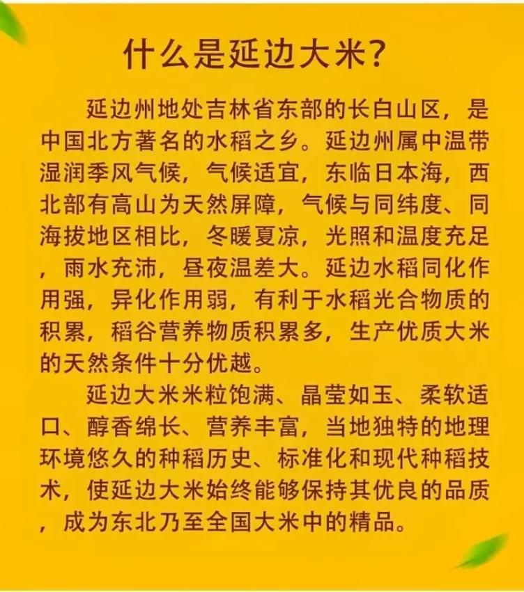 网络热词“厚米”是什么意思？带你了解“厚米”的起源和含义
