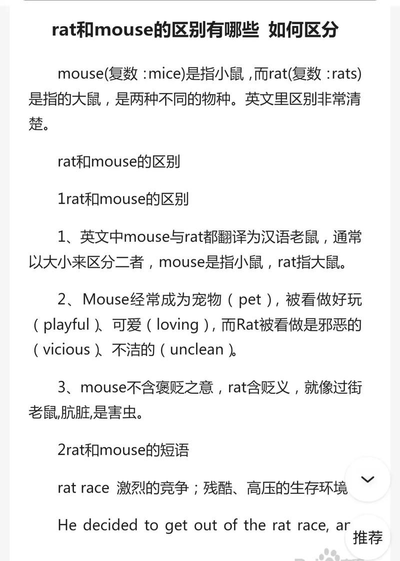网络热词“痒痒鼠”是什么意思？快速了解它的含义