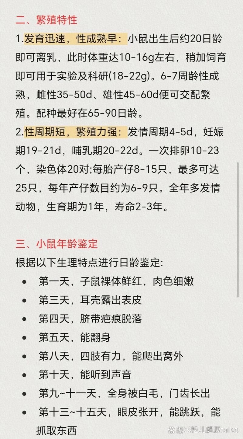 网络热词“痒痒鼠”是什么意思？快速了解它的含义