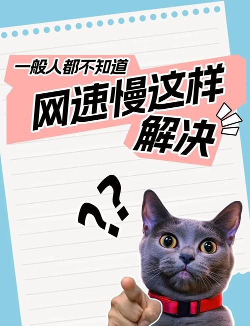 网速慢又卡？网络波动不稳定如何轻松解决