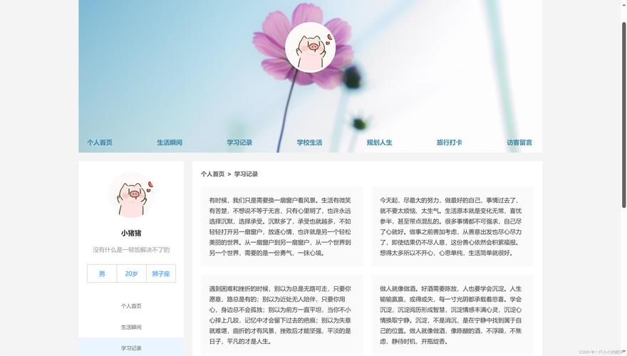 网页图片保存能手：免费好用，网页图片轻松搞定