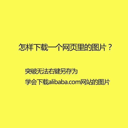 网页图片保存能手：免费好用，网页图片轻松搞定