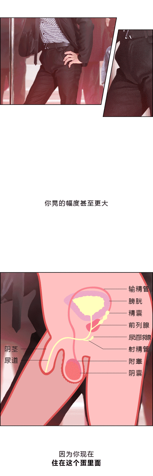 美女PK精子游戏测评：画面精美，玩法独特！