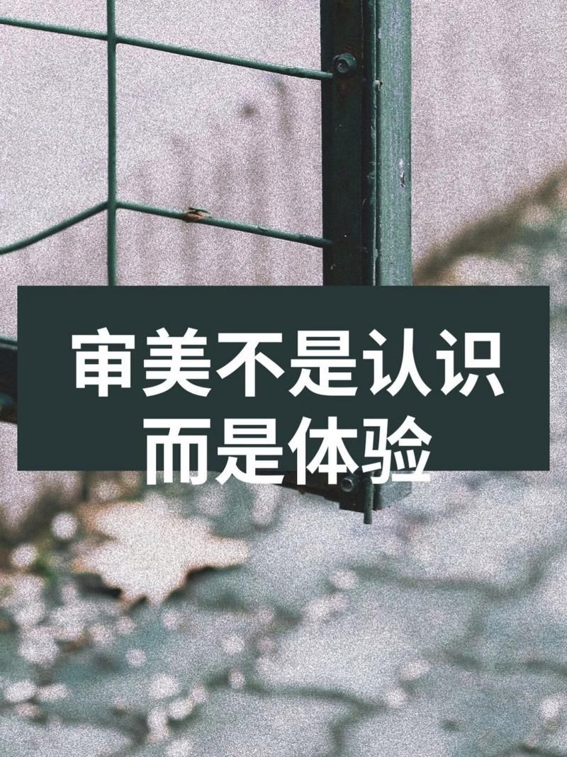 美感就是认识：深度解析审美背后的认知过程