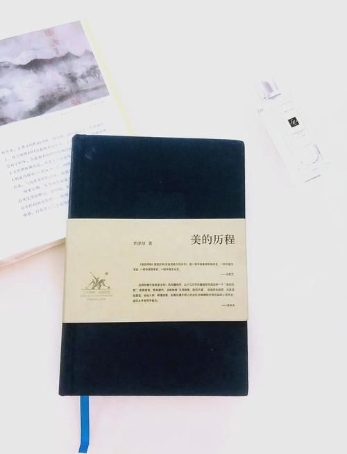 美感就是认识：深度解析审美背后的认知过程