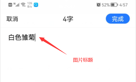 美篇APP好用吗？快速制作精美图文教程