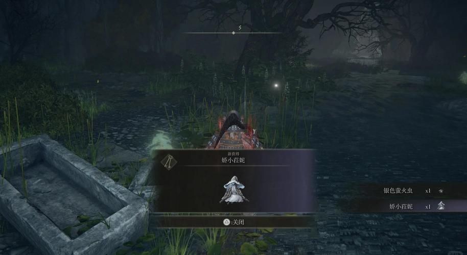 老头环拉妮支线全流程详解：新手也能轻松完成