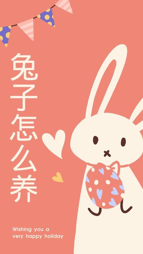 老师你的兔子好软水好多图片：精选高清兔子图片大全，让你爱不释手！